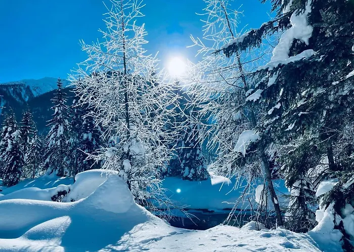 Garni Burger 3* سانكت جاكوب ان ديفر